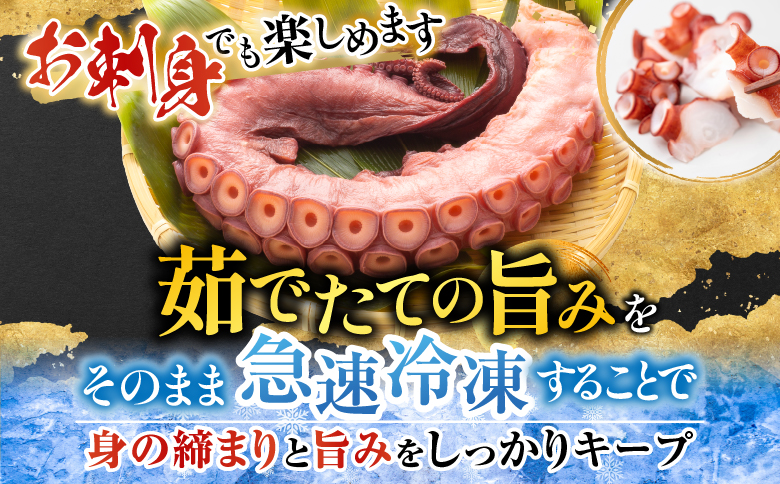 【北海道根室産】お刺身用たこ足2本(計2～2.5kg) C-76027