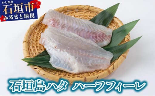 石垣島 ハタ ハーフフィーレ | 勝水産 ミーバイ ヤイトハタ 沖縄県石垣市 石垣 沖縄 石垣市 石垣島 KS-15