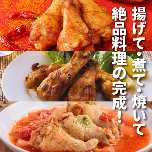 福袋 木城町 お肉いろいろお楽しみセットC K16_0071_1