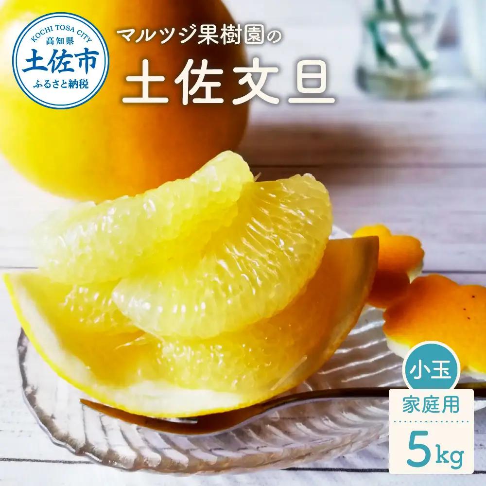 文旦 5kg 土佐文旦 小玉 家庭用【先行予約】[BQAN009]
