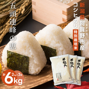【令和7年産】米杜氏 新潟県阿賀野市産 特別栽培米 コシヒカリ 6kg（2kg×3袋）米 こめ コメ 1H36023