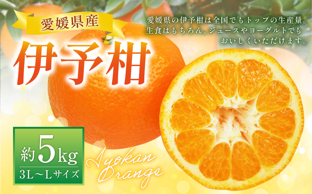 伊予柑 3L～Lサイズ （約5kg） みかん 蜜柑 柑橘 果物 くだもの フルーツ （520） 【2025年1月上旬～2025年2月上旬発送予定】