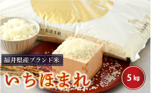 【令和7年産】さんさん池見二代目がお届けする 福井県産いちほまれ 5kg（上白米） [B-0219_01]