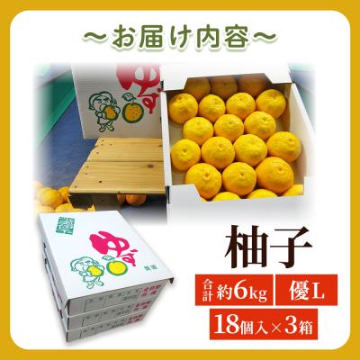 ふるさと納税 西予市 <柚子 優 Lサイズ 54個(18個入り×3箱)> 約6kg 6000g ゆず 国産 果物 フルーツ |  | 03