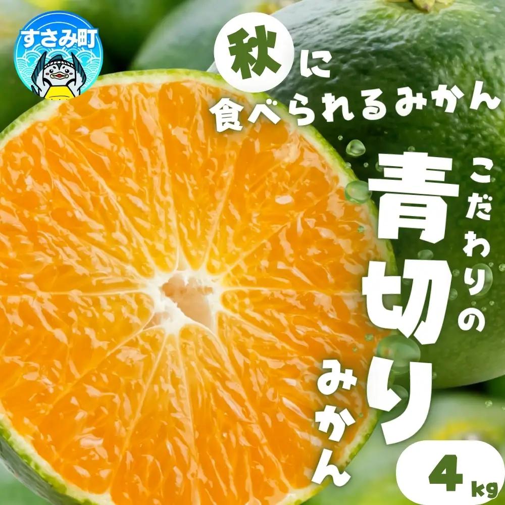 【2026年9月下旬~順次発送】青切りみかん(約4kg) サイズ混合（お届け日指定不可）和歌山県産【nuk142C】