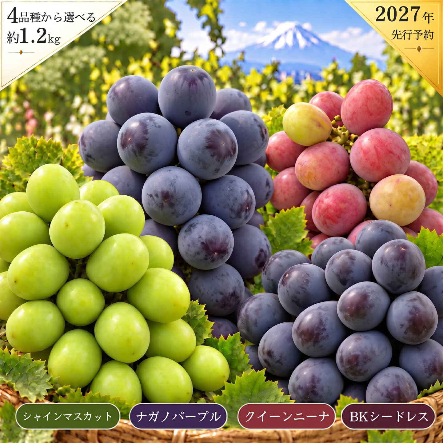 【ふるさと納税】 【2027年先行予約】山梨県都留市産 ぶどう1.2kg ＜品種選べる仕様＞ シャインマスカット クインニーナ ナガノパープル BKシードレス 冷蔵 フルーツ 果物 ぶどう ブドウ 葡萄 シャイン マスカット 山梨県産