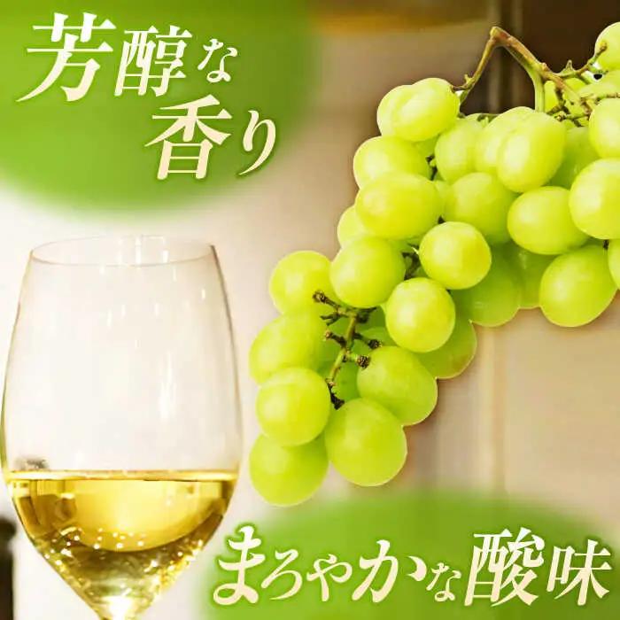 こくわワイン 白ワイン 720ml×2 酒 アルコール コクワ フルーツ [AXAB043]