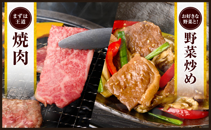 【令和8年7月配送】数量限定 宮崎牛 霜降り 焼肉 計500g 肉質等級4等級以上 牛肉 黒毛和牛 国産 食品 おかず 最高級 ブランド牛 焼き肉 BBQ バーベキュー キャンプ 人気 おすすめ 記念
