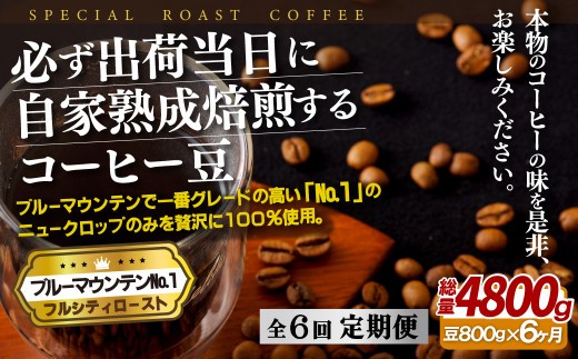 
E279z 【6回定期便】必ず出荷日に自家熟成焙煎ブルーマウンテンNo.1豆(800g)
