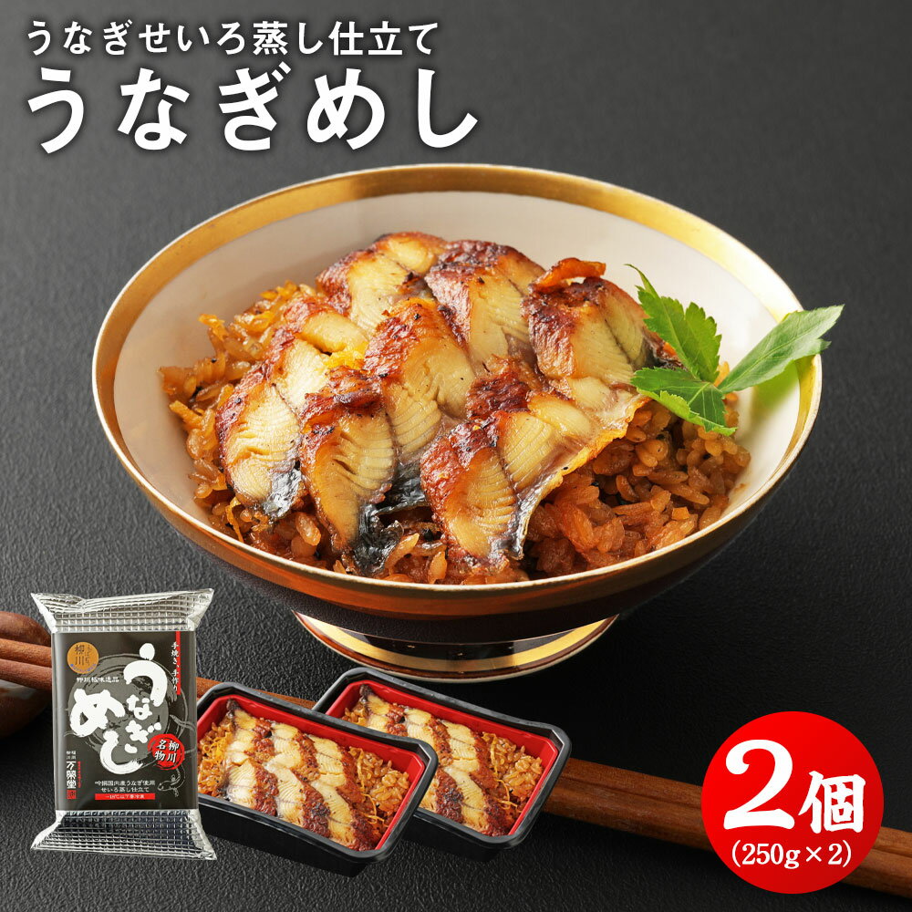 【ふるさと納税】柳川定番 うなぎせいろ蒸し仕立て うなぎめし 2個 250g×2個 鰻 国産 うなぎ ウナギ 蒲焼き せいろ 国内産 国産 土用丑の日 冷凍 九州 送料無料