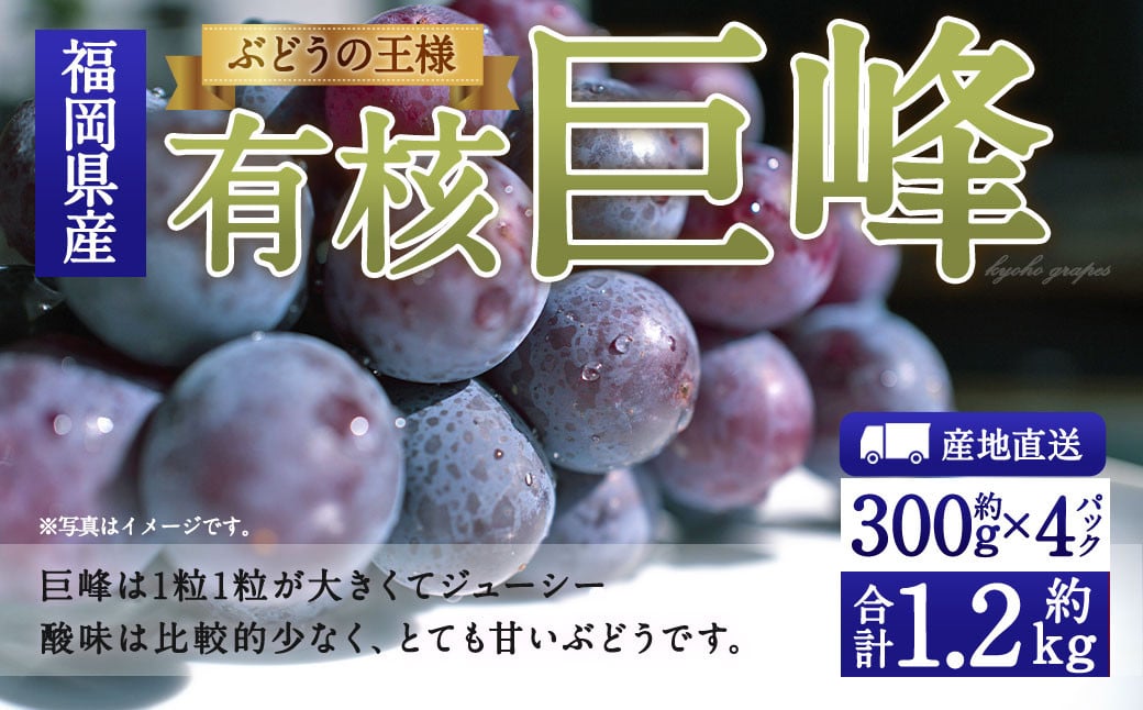 数量限定 有核 巨峰 約300g×4パック 計約1.2kg 【2025年6月下旬～8月上旬発送予定】 ぶどう ブドウ 果物 フルーツ 福岡県産