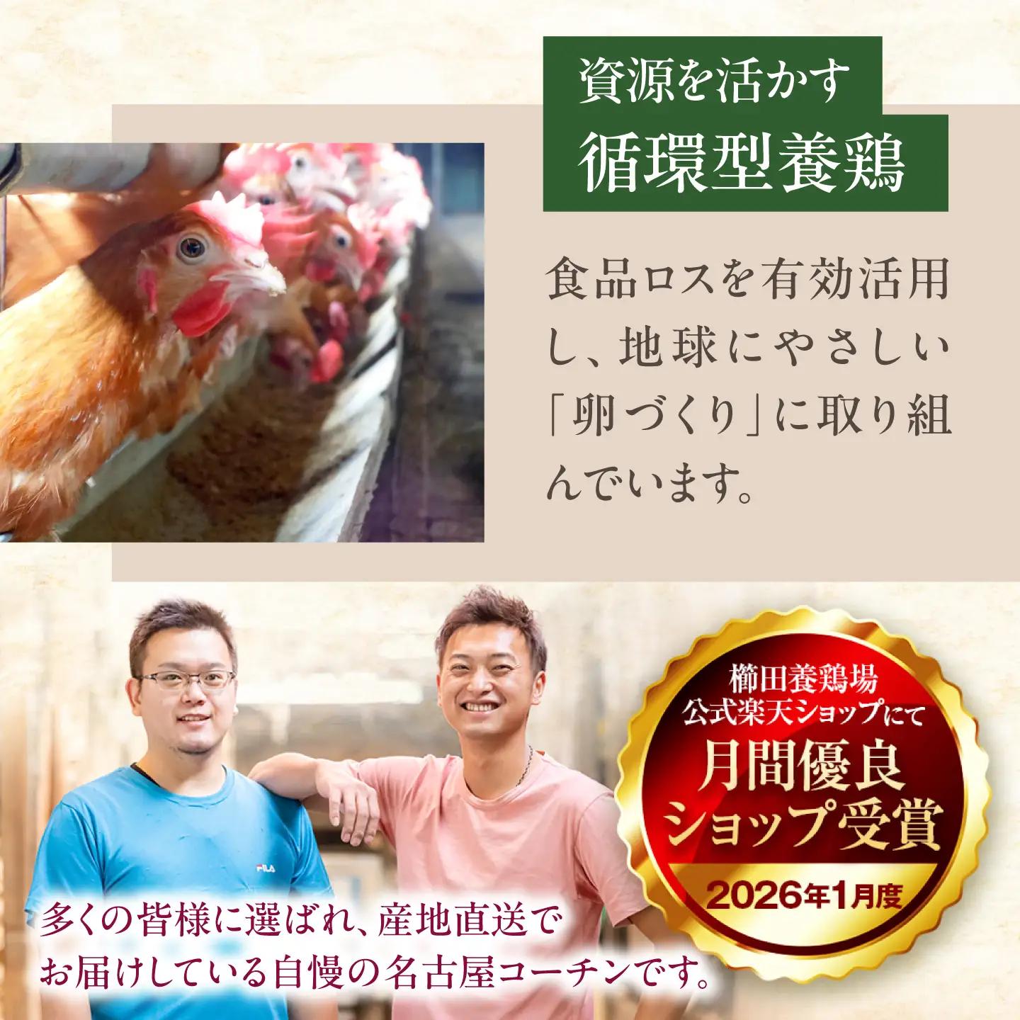 【お中元対象】名古屋コーチン 卵 40個（20個入×2ケース）（保証4個含）【化粧箱入り】 / 卵 たまご 玉子 鶏卵 大容量 / 稲沢市 / 櫛田養鶏場 [BMAY001]