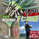 【ふるさと納税】訳あり（家庭用）伝統農法の下仁田葱 Sサイズ15本 とろける 甘い ねぎ ネギ 王様ねぎ 殿様ねぎ 特産 栄養たっぷり ブランド 上州ねぎ すきやき 野菜 F21K-182