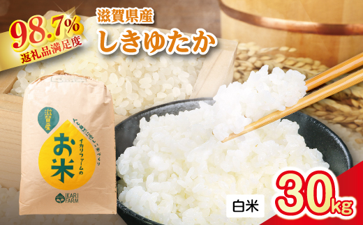 【新米】令和8年産　すっごいもちもち　「しきゆたか」　白米【30kg×1袋】【C009W1】（滋賀県　近江八幡市）