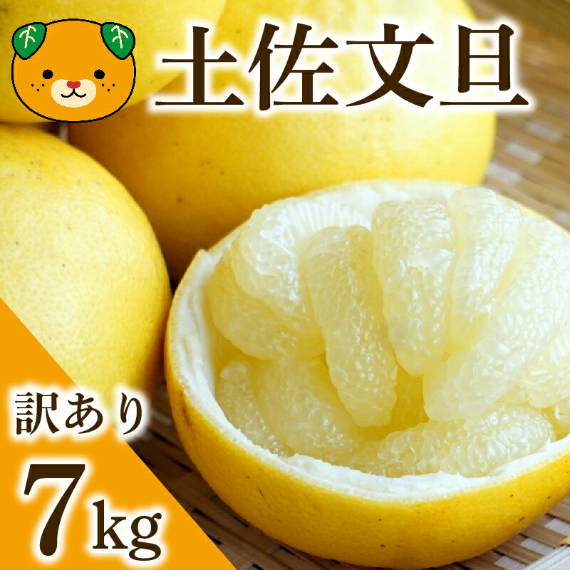 【ふるさと納税】 訳あり 土佐文旦 7kg みかん 蜜柑 文旦 ぶんたん ブンタン 家庭用 訳あり品 訳アリ ワケアリ 柑橘 果物 フルーツ ゼリー ジュース アイス 分担 国産 愛媛県 愛南町青果市場 発送:2026年2月中旬〜(なくなり次第終了)