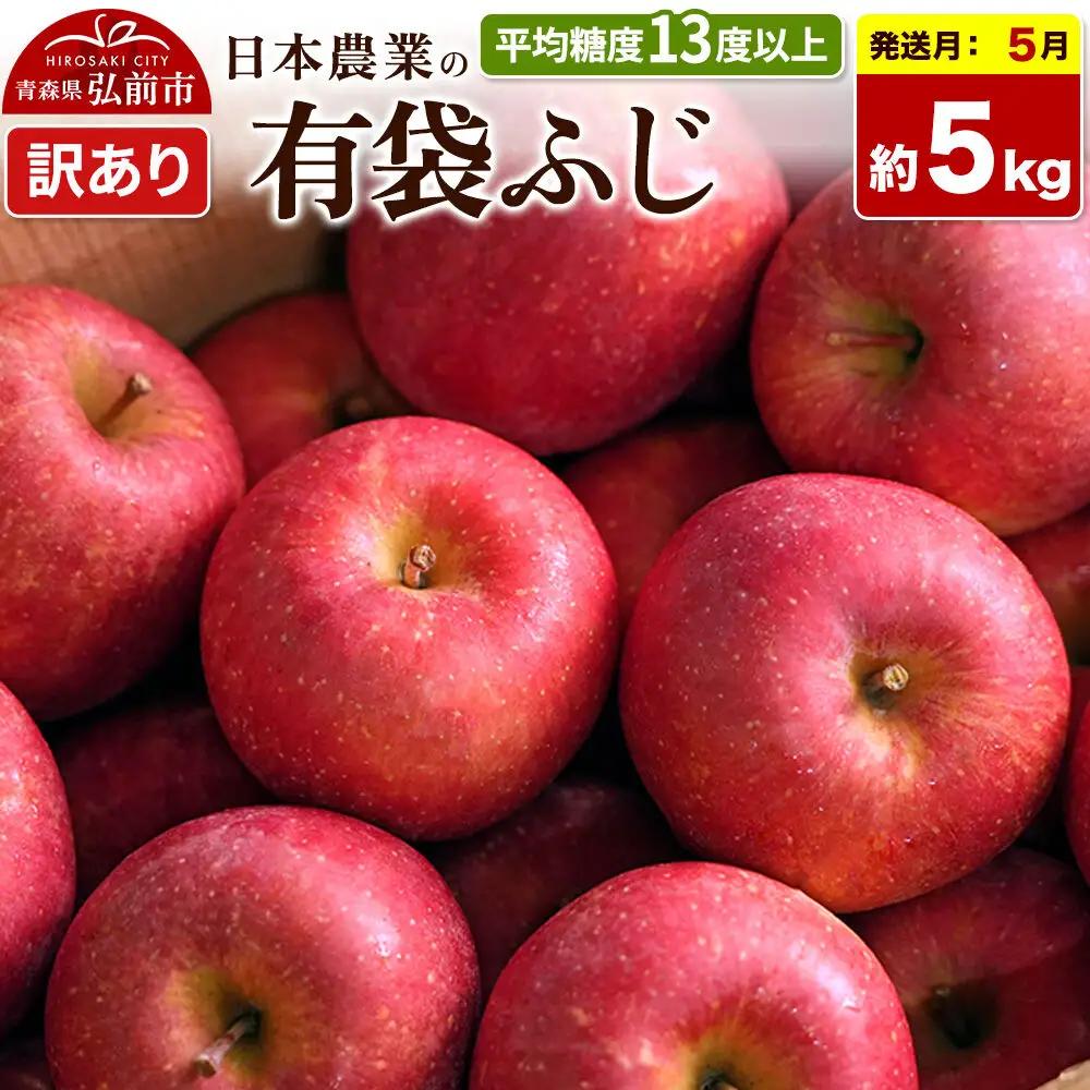 りんご 有袋ふじ 訳あり 約5kg【5月クール便発送】りんご