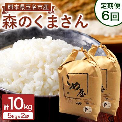ふるさと納税 玉名市 【毎月定期便】熊本県玉名市産　森のくまさん 10kg(5kg×2袋)全6回