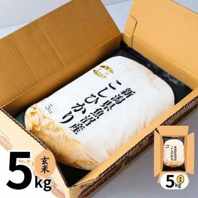 ふるさと納税 十日町市 【令和7年産】魚沼産コシヒカリ金印(玄米)5kg |  | 01