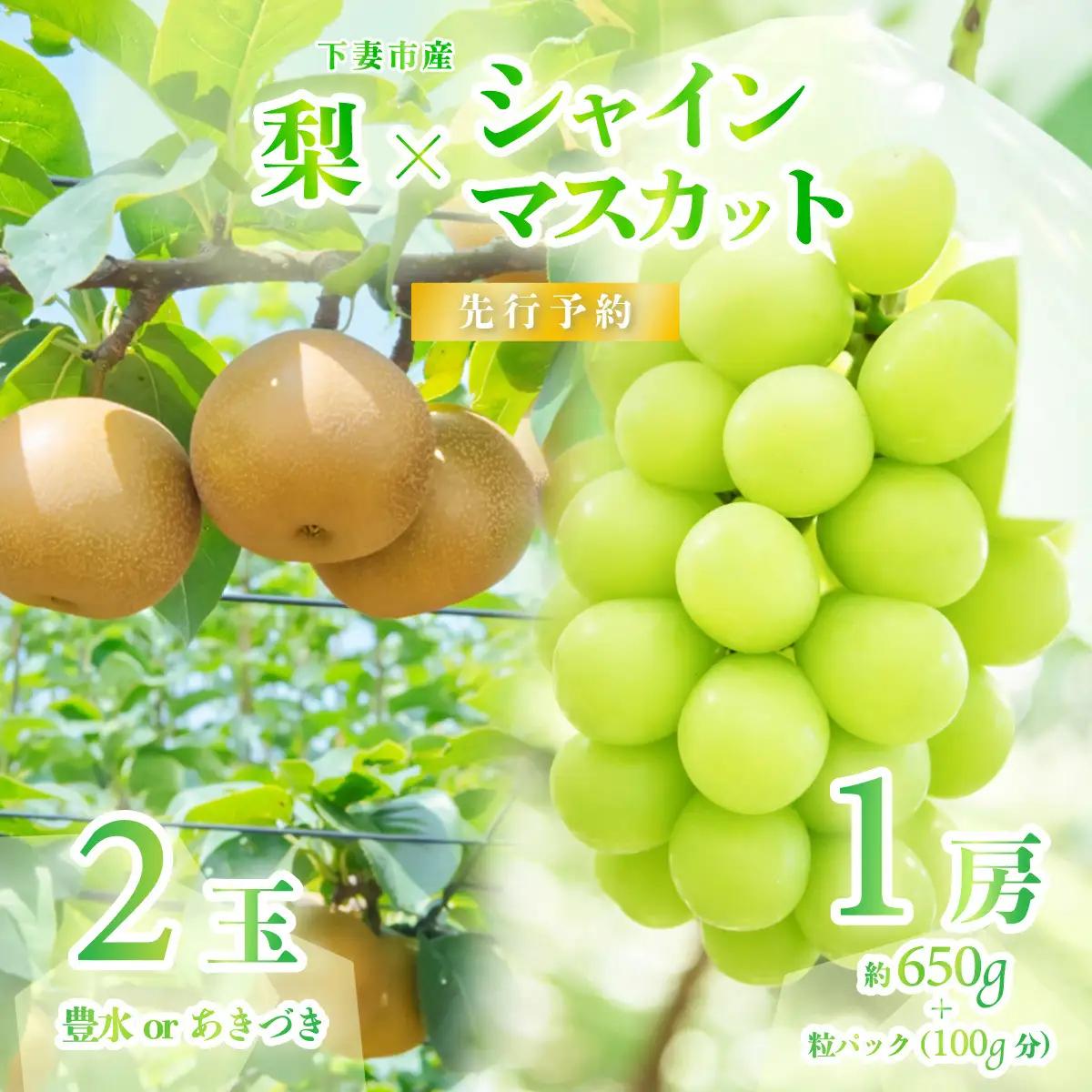 シャインマスカット 1房 ( 約650g ) + 粒パック100g ＆ 梨 2玉 ( 豊水梨 or あきづき )