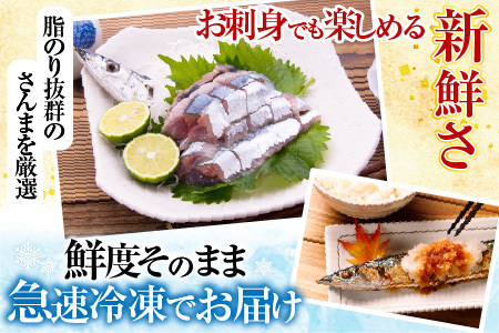 [12月21日決済分まで年内配送]甘塩紅鮭5切×2P、冷凍生さんま5尾×2P A-36017