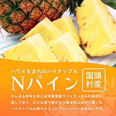 【2025年7月～8月の発送】パイナップルの王道 Nパイン4玉【配送不可地域：離島】