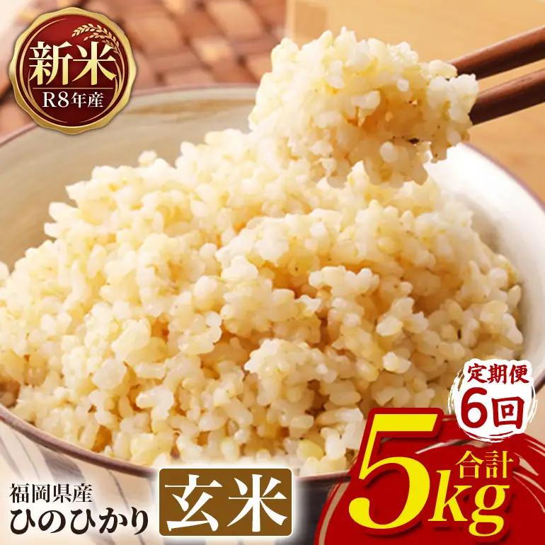 【6回定期便】 ひのひかり 米 お米 玄米 5kg 令和8年産 新米 【JA福岡くるめ にじの耳納の里】 A01-011-BW03-605