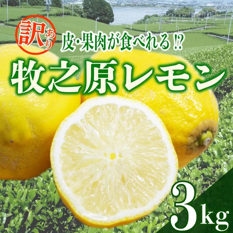 【先行予約 国産 訳ありレモン】 3kg れもん 檸檬 タタラ商店 
