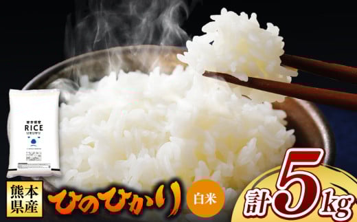 熊本県産 ひのひかり 白米 5kg | お米 米 こめ おこめ 精米 白米 ヒノヒカリ 5キロ フードロス くまもと 熊本 熊本県 玉名市 玉名