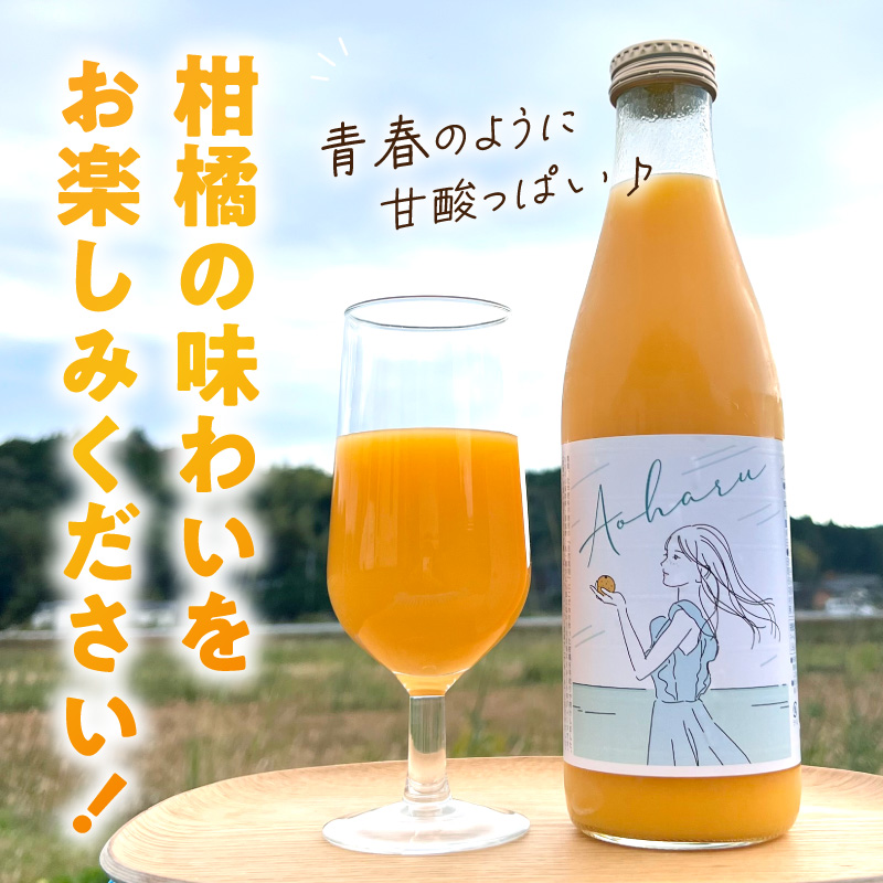 S178-005_アオハル(温州みかん)2本セット