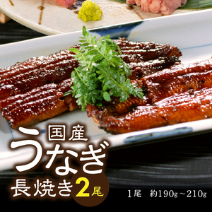 a30-205　家計応援　国産 うなぎ 鰻　バチマグロ ビンチョウマグロ まぐろ たたき　総重量約1.9kg