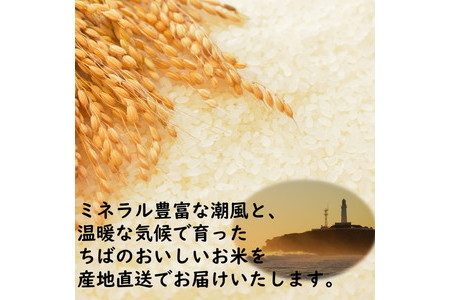 新米 令和6年産 ちばの新しいお米　粒すけ　10kg 【お米マイスター厳選】お米 おこめ 米 こめ 白米