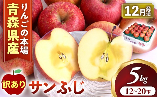 【訳あり】りんご【サンふじ】約5kg（12～20玉）【2026年産・先行予約】★2026年12月発送予定★ アップル 林檎 フルーツ 果物 果実 産地直送 農家直送 送料無料 青森県 三戸町 AK-24-051