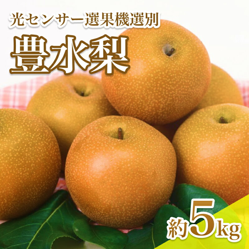 【ふるさと納税】【9月上旬から発送予定】南信州産 豊水梨 約5kg 秋の味覚 光センサー選果機選別品 | 果物 くだもの フルーツ 豊水梨 梨 なし ナシ 新鮮 長野県 信州 南信州 飯田市 BI04