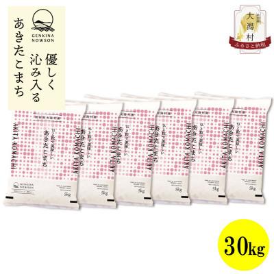 ふるさと納税 大潟村 【毎月定期便】秋田県産あきたこまち無洗米30kg(5kg×6)全6回