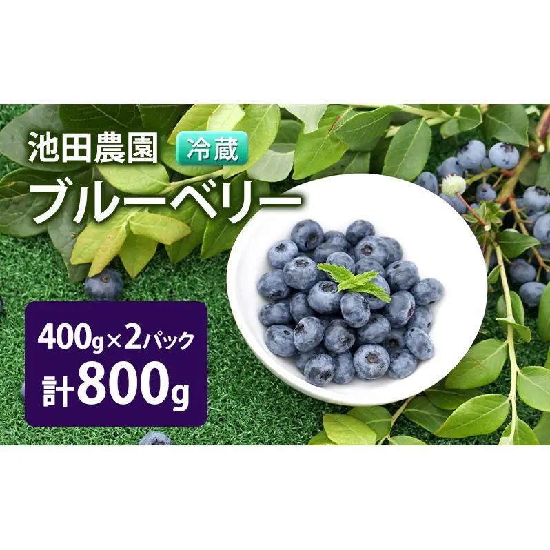 【2025年夏配送】生 ブルーベリー 計800g (400g×2パック)