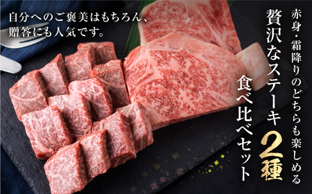 【2週間～発送】飛騨牛 ステーキ  2種食べ比べ 計600g  牛肉 ステーキ [S464]
