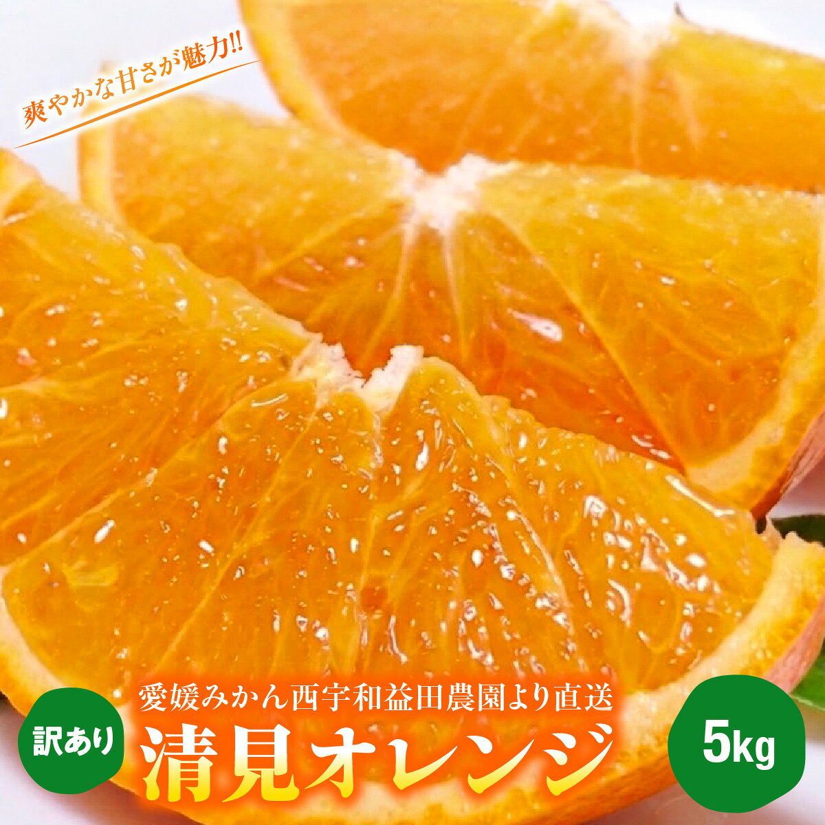【ふるさと納税】【先行受付】◆愛媛みかん西宇和益田農園より直送～　「清見オレンジ」爽やかな甘さが魅力！！　5kg【103-4】果物 くだもの 清見 清見オレンジ きよみ みかん ミカン 蜜柑 柑橘 フルーツ 期間限定 季節限定 特産品 YWTBZ007