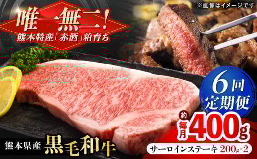 【全6回定期便】熊本県産 『原田畜産』 黒毛和牛 サーロイン ステーキ 計約400g（約200g×2枚）【有限会社 九州食肉産業】 [AYCN052]