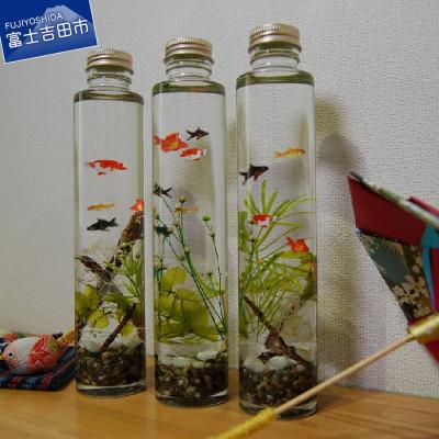 ふるさと納税 富士吉田市 金魚のハーバリウム
