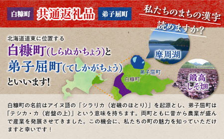 【定期便】焼酎３種 × クラフトジン 飲み比べ 720ml 6本 700ml セット_I031-1393