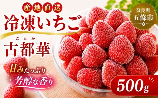 冷凍いちご 古都華 500g | 冷凍 いちご フルーツ 果物 くだもの 自社農園 トッピング 健康 おやつ 美容 完熟 | 奈良県 五條市