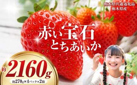 【栃木県共通返礼品】赤い宝石「とちあいか」約270g×4P×2箱| 先行予約 選べる いちご 苺 とちあいか 栃木県 那珂川町 送料無料 デザート ご褒美 美味しい 甘い フルーツ ジューシー 