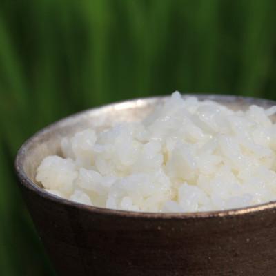 ふるさと納税 東温市 〈坂本自然農場 穂田琉〉JINEN:にこまる　精米2kg |  | 01