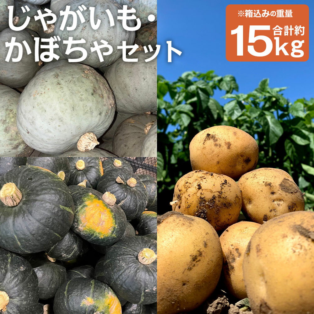 【ふるさと納税】北海道産じゃがいも・かぼちゃセット ブラックのジョー/雪化粧 合計約15kg 選べるかぼちゃの種類 M～2Lサイズ混載 じゃがいも 南瓜 芋 野菜 山田農場 京極町産 北海道産 国産 送料無料 【2026年10月上旬-11月上旬迄発送予定】