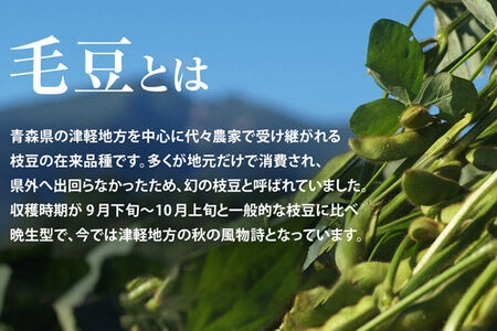 【寄附金額見直しました】【26年9月下旬～発送】【朝採り直送 令和8年度】青森毛豆 約1.2kg 青森・津軽の秋を味わう栗のような濃厚なうまみの枝豆【先行受付】 産地直送 おつまみ 新鮮 えだまめ 野