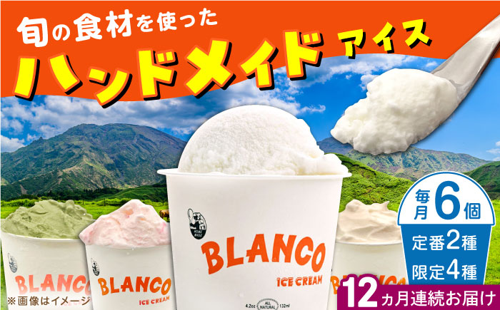 【全12回定期便】ハンドメイドアイスクリーム 食べ比べ 6個セット ( 6種 × 各1個 ) 詰め合わせ アイスクリーム 熊本 山都町 アイス【BLANCO ICE CREAM】[YCM004] 