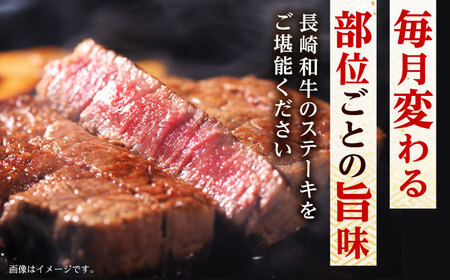 【6回定期便】 長崎和牛 A5 ステーキざんまいコース 総計2.5kg / モモ リブロース イチボ サーロイン ランプ ヒレ / 肉 牛肉 ステーキ 焼肉 / 諫早市 / 野中精肉店 [AHCW08