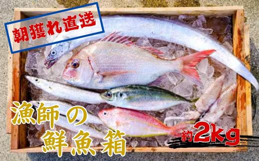 669.漁師の鮮魚箱（約2kg）(A669-2)