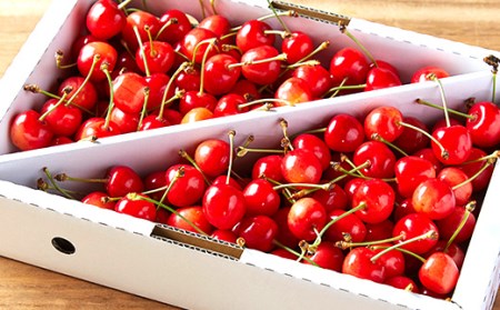 《先行予約 2024年発送》山形産さくらんぼ 佐藤錦 秀品L玉700g FSY-0169