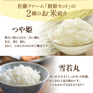 《 新米 》【 令和6年産 新米 】 殿姫セット つや姫 雪若丸 5kg × 各1袋 （ 計 10kg ） 2品種 食べ比べ 農家直送 2024年 米沢産 精米 お米 白米 ブランド米 期間限定 送料